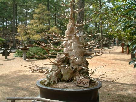 cheju_0502-131