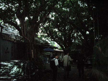 17taiwan20040513-016