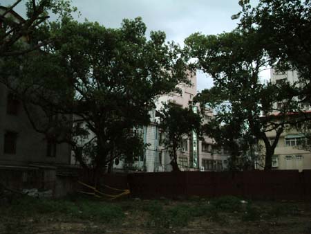 22taiwan20040513-003