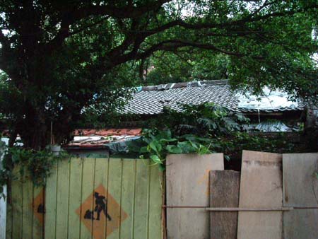 24taiwan20040513-005