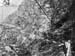 ctailuge_old_01-110
