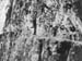 dtailuge_old_01-103