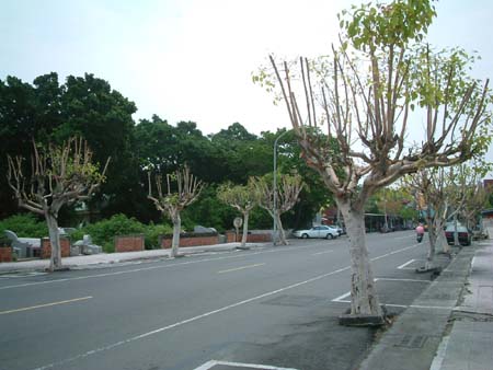 taiwan_20040525-047